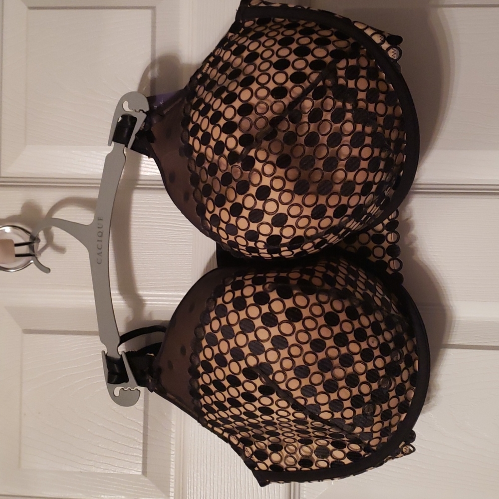 Lane Bryant Bra